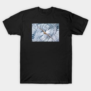 Eagle 1 / Swiss Artwork Photography T-Shirt